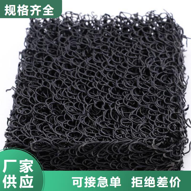 RCP滲排水網墊