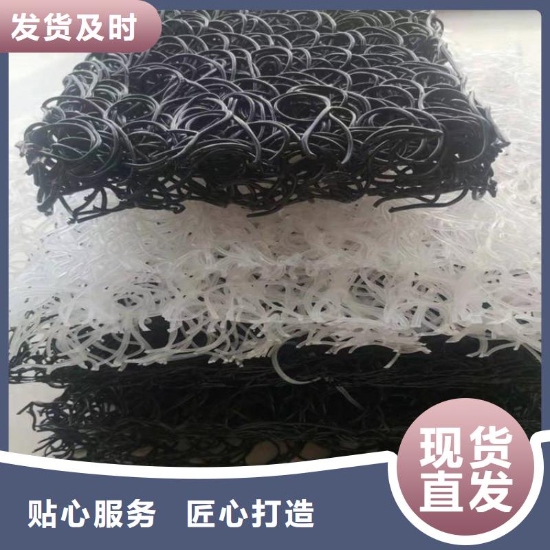 土工席墊【植草格】實(shí)力雄厚品質(zhì)保障