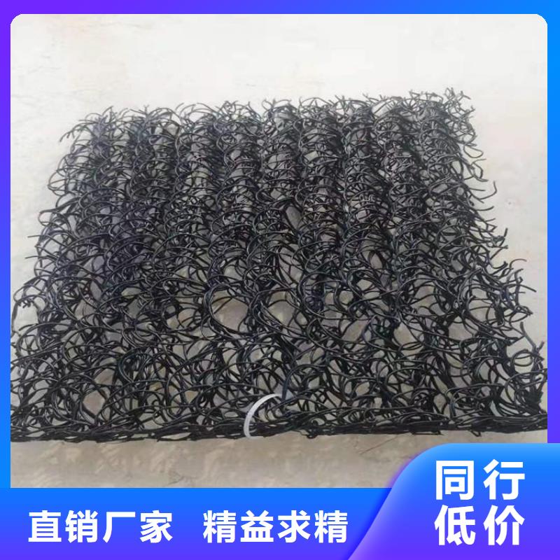 絲狀RCP滲排水網(wǎng)墊