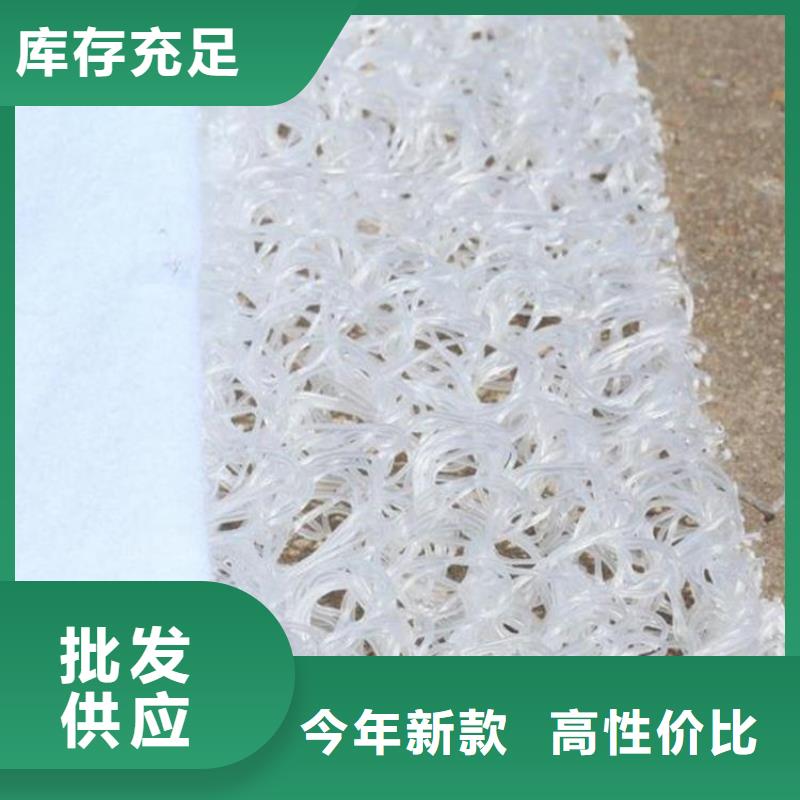 塑料滲排水網墊
