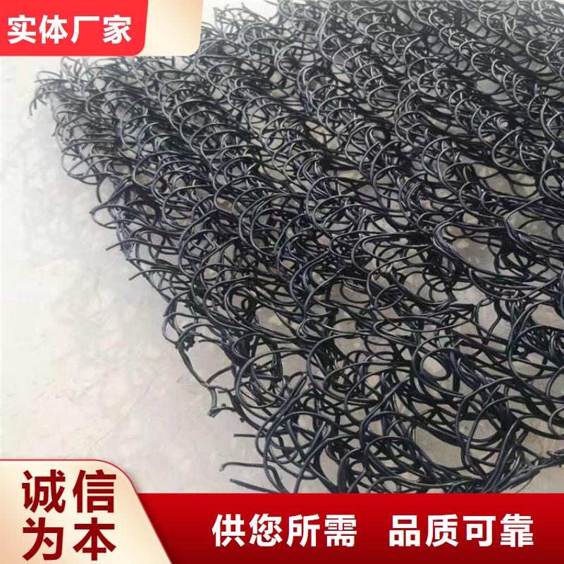 【土工席墊HDPE土工膜生產(chǎn)型】