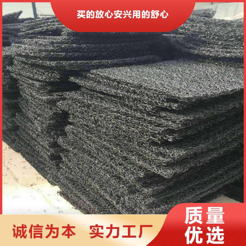 土工席墊_防滲膜源頭廠家經驗豐富