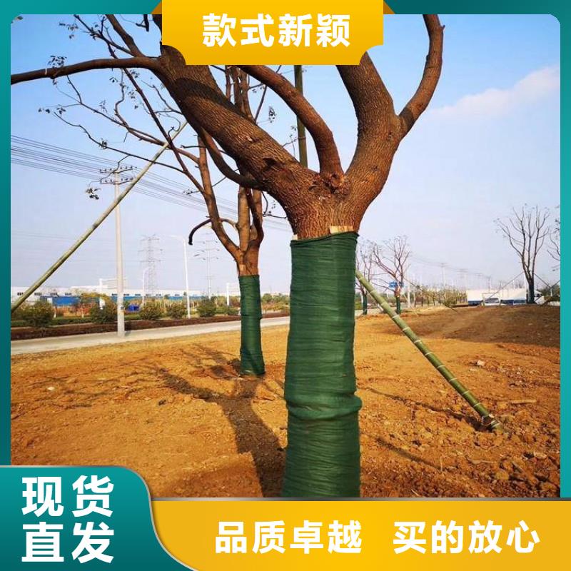 土工格栅视频-湖北省荆州市|监利|松滋|宜昌|武汉|十堰|黄冈土工格栅-鼎诺