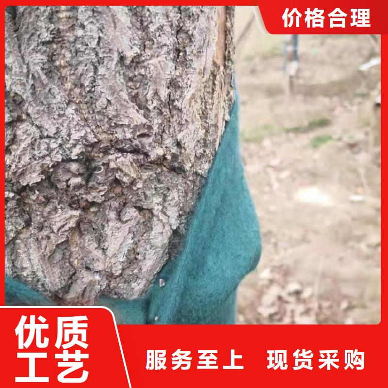 土工格栅视频-湖北省荆州市|监利|松滋|宜昌|武汉|十堰|黄冈土工格栅-鼎诺