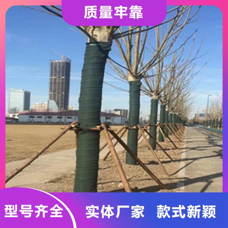 包樹氈