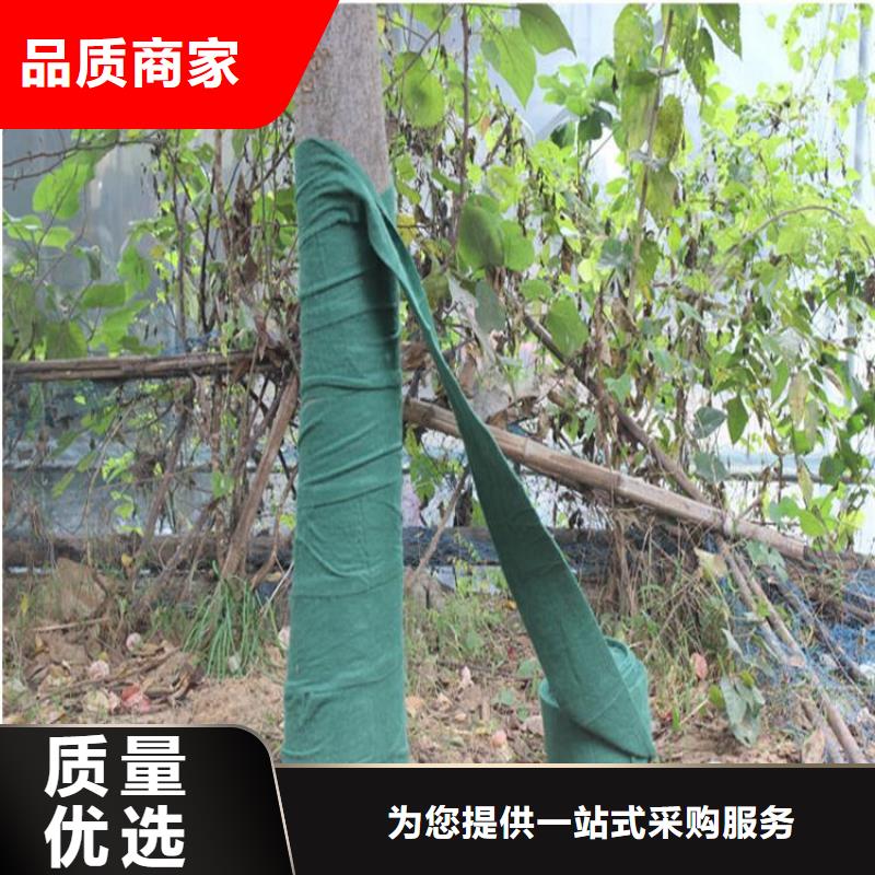土工格栅视频-土工格栅-鼎诺土工材料(滨州市分公司)服务区域沾化|惠民|威海|莱芜|烟台|泰安|枣庄|济南|济宁