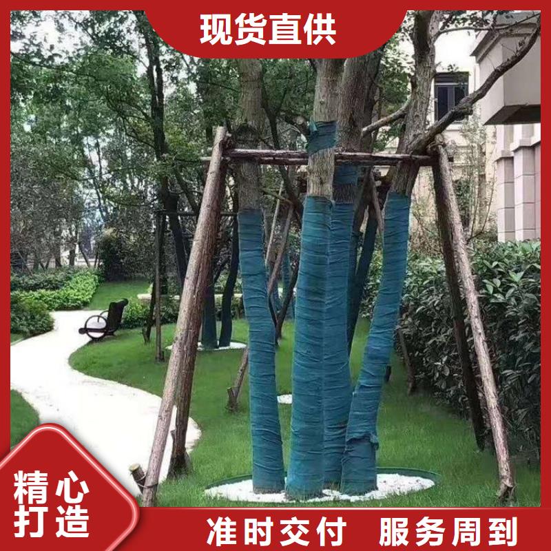 土工格栅视频-土工格栅-鼎诺土工材料(滨州市分公司)服务区域沾化|惠民|威海|莱芜|烟台|泰安|枣庄|济南|济宁