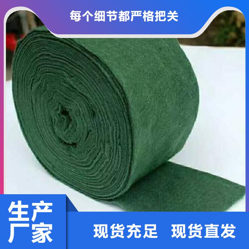 海南萬寧市大樹裹樹布哪里有賣的廠家
