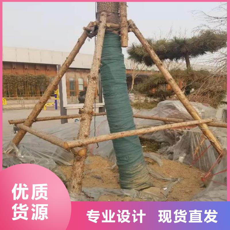 裹树布硬式透水管质量好