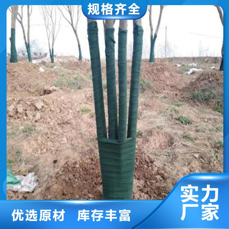 綠色裹樹布