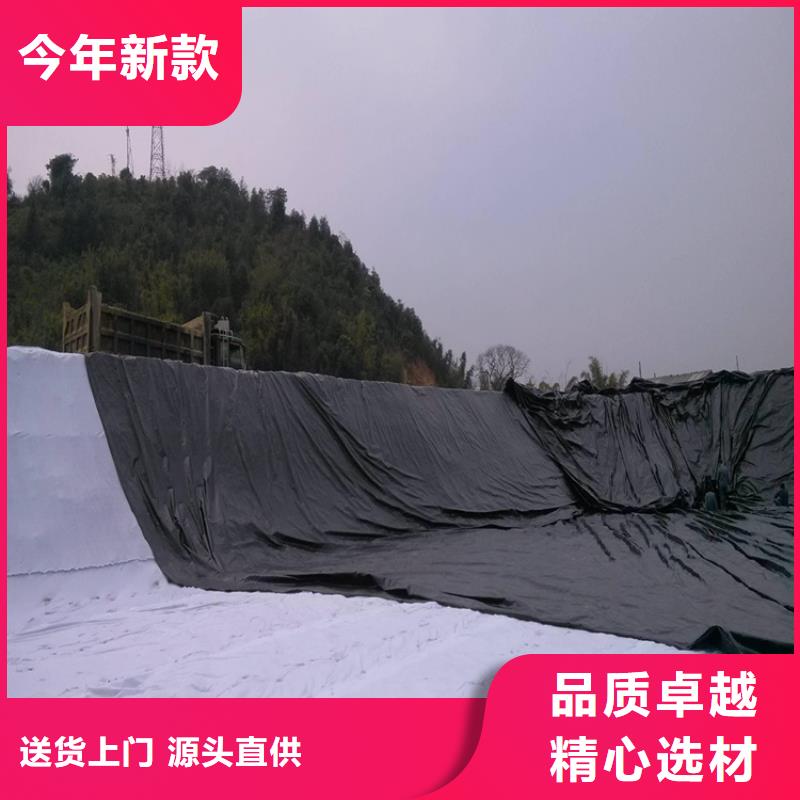 土工膜-玻璃纖維土工格柵規格型號全