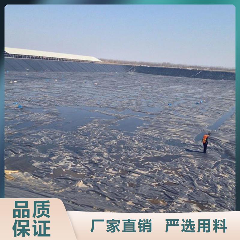 垃圾場聚乙烯土工膜
