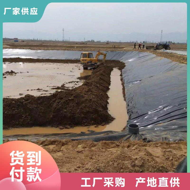 固廢防滲土工膜