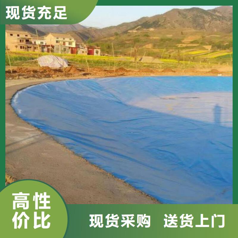 固廢防滲土工膜