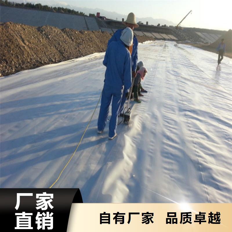 復合土工膜批發價格