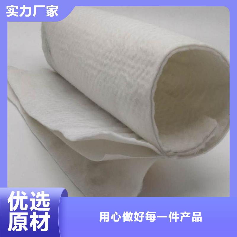 【 土工布_土工膜厂家采购】