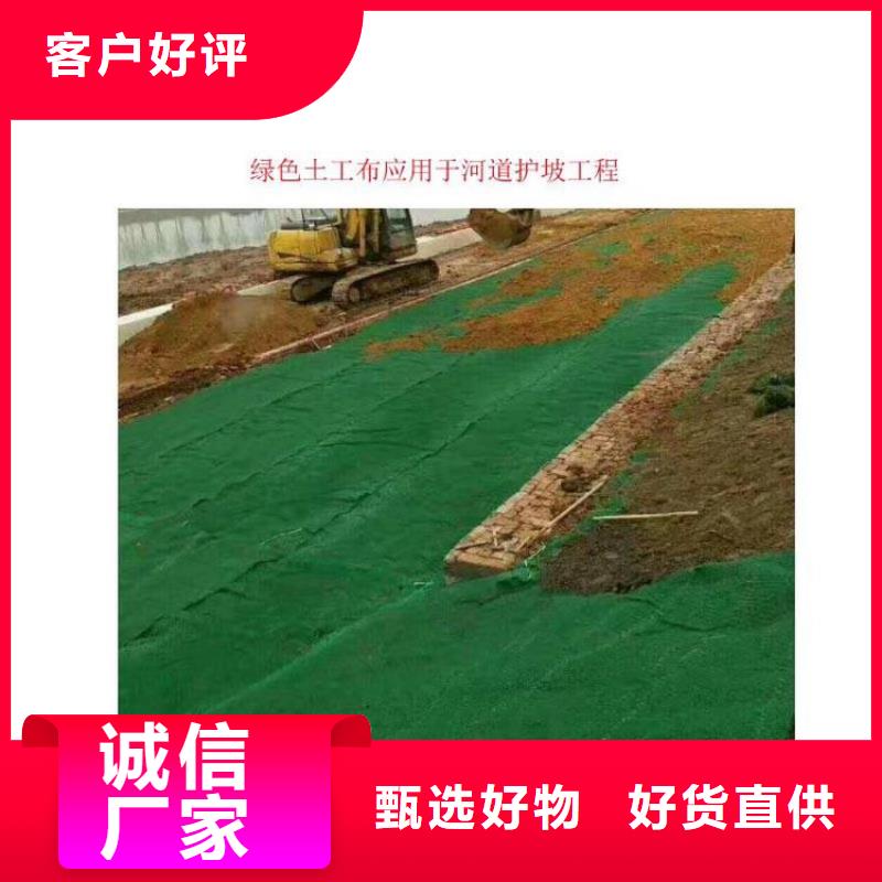 土工格栅视频-土工格栅_湖南省邵阳市市场覆盖邵东|北塔|株洲|永州|岳阳|湘潭|娄底等