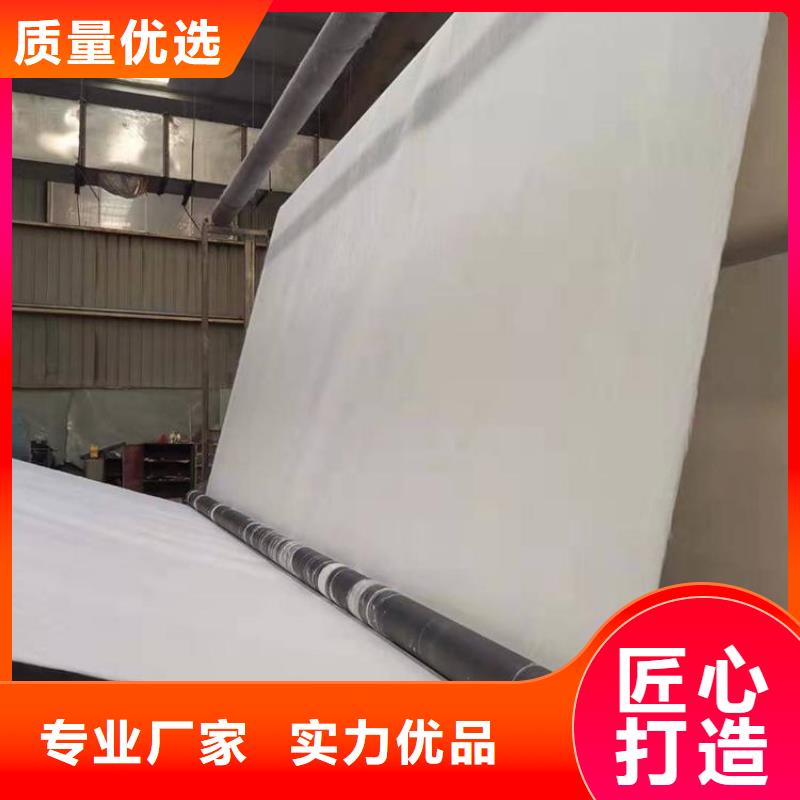 土工格栅视频-揭东|揭西|中山|佛山|江门|云浮|潮州|河源土工格栅送货上门-中齐建材(揭阳市分公司)