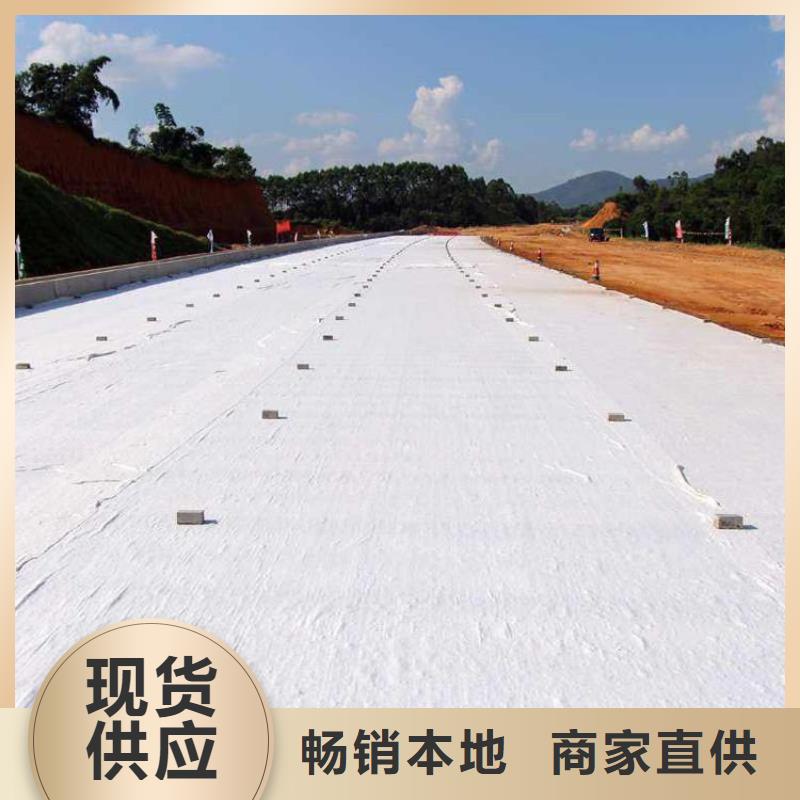 【土工布HDPE土工膜實力大廠家】