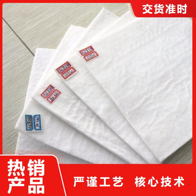 防滲土工布