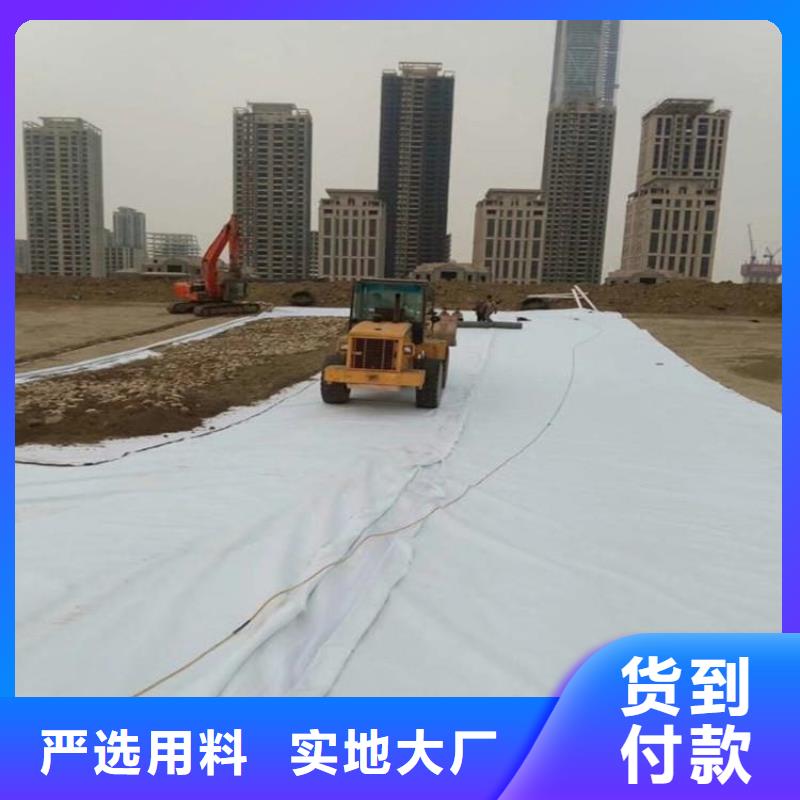 長(zhǎng)絲復(fù)合土工布