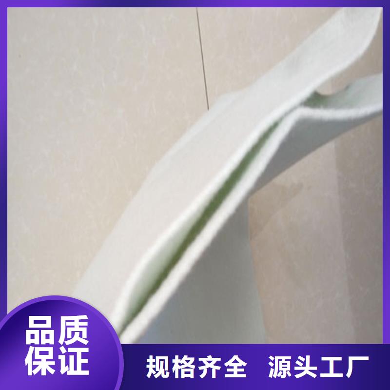 土工格栅视频-揭东|揭西|中山|佛山|江门|云浮|潮州|河源土工格栅送货上门-中齐建材(揭阳市分公司)