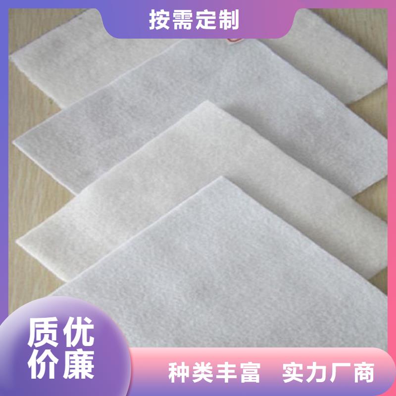 土工布【土工格柵】精工制作