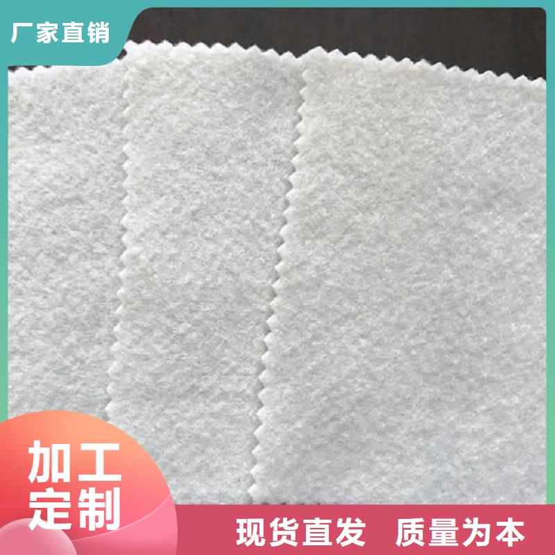 【土工布HDPE土工膜實力大廠家】