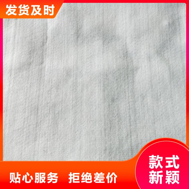 反濾隔離土工布