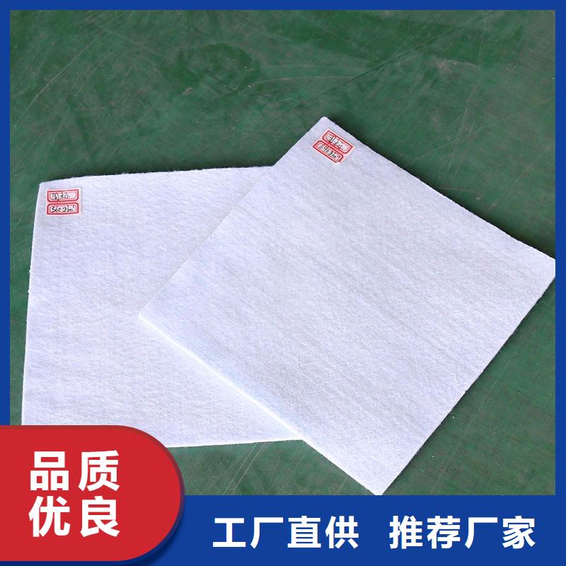土工布【土工格柵】精工制作