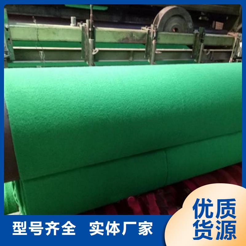 土工布三维植被网种类丰富