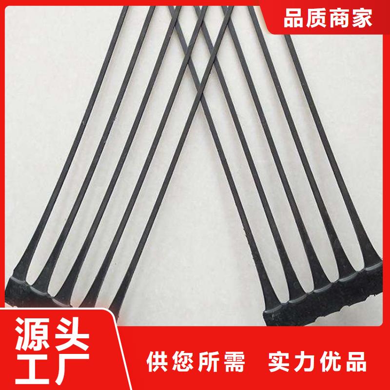 鋼塑鋼塑土工格柵