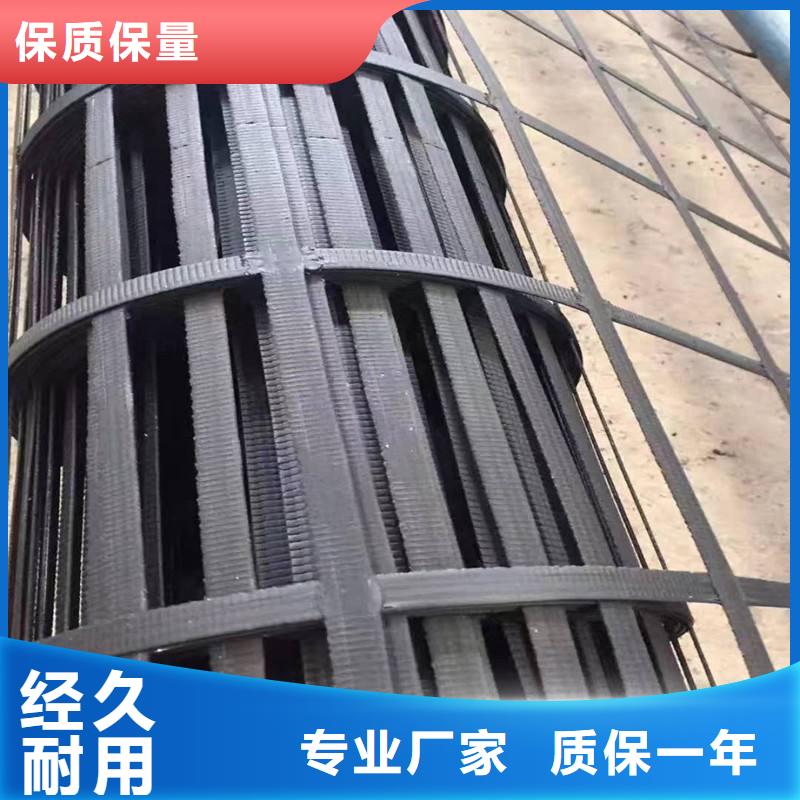 雙向PE土工格柵