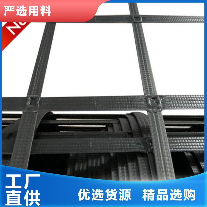 雙向PE土工格柵