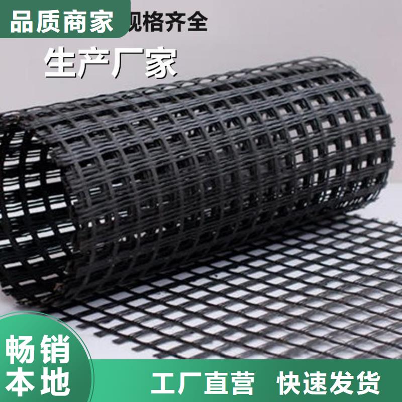 雙向PE土工格柵