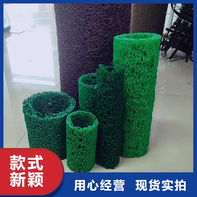 土工格栅视频-土工格栅|陕西省|宝鸡|铜川|汉中|榆林|西安