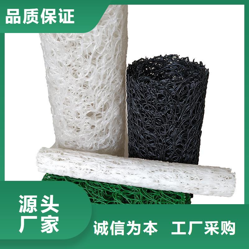 塑料盲溝【礦用阻燃網】貨真價實