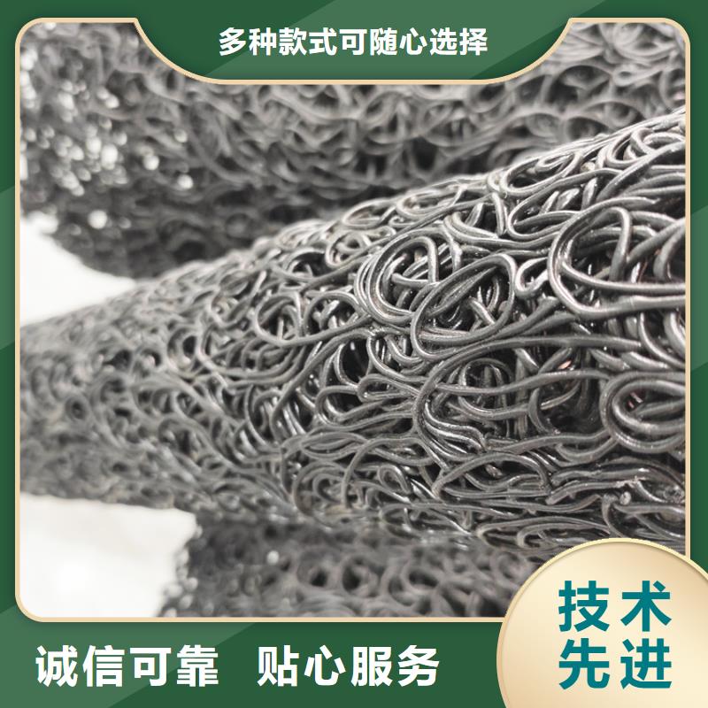 土工格栅视频-土工格栅|陕西省|宝鸡|铜川|汉中|榆林|西安