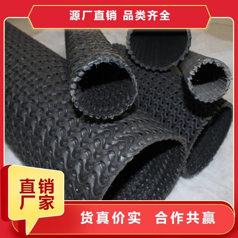 直徑100塑料PE硬式透水管