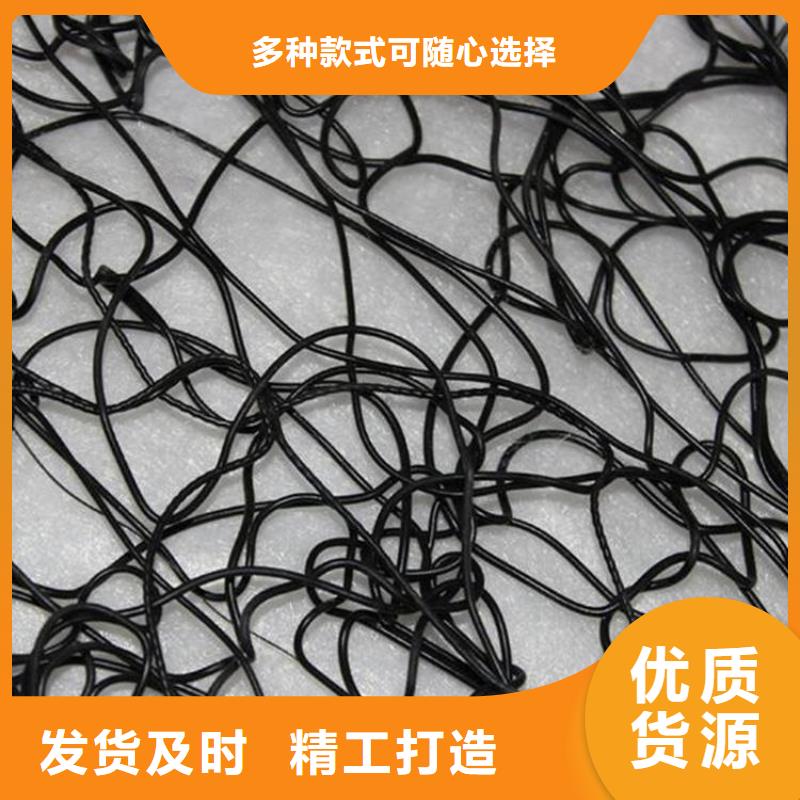通風(fēng)降噪絲網(wǎng)排水板工期短發(fā)貨快