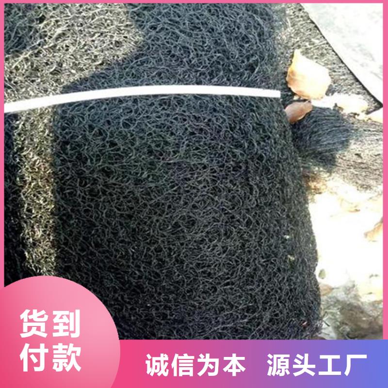 通風降噪絲網短纖無紡土工布快捷的物流配送