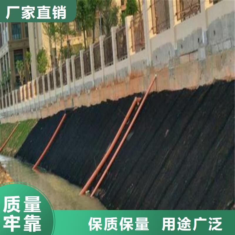 三維水土保護毯新聞資訊