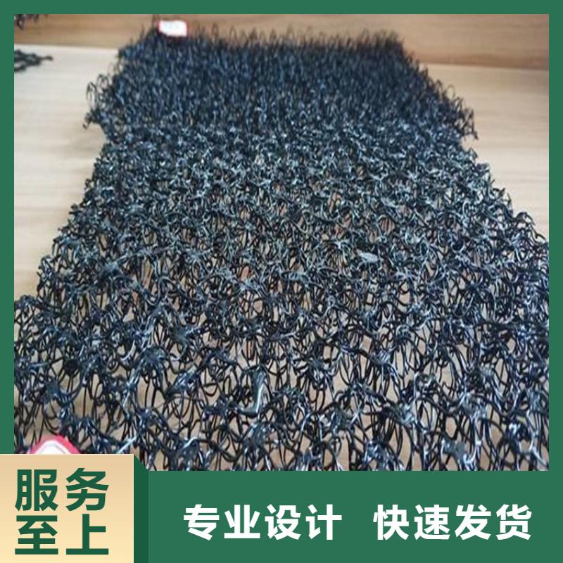 邊坡綠化三維水土保護毯
