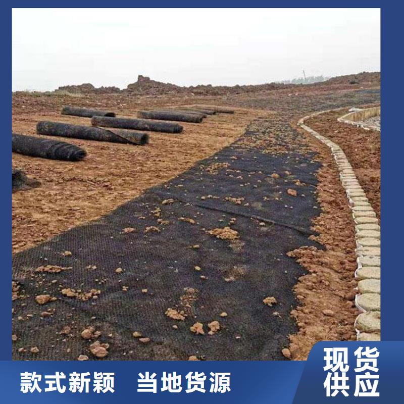 土工格栅视频-江苏省常州市|武进|金坛|苏州|宿迁|无锡|盐城|南京|扬州|泰州土工格栅-中齐