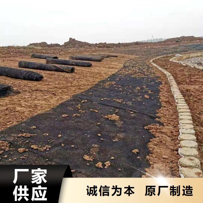 聚丙烯水土保護毯