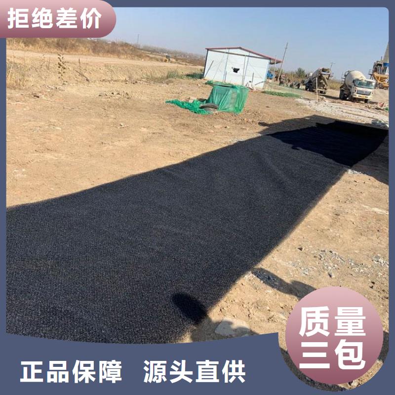 生態水土保護毯新聞動態