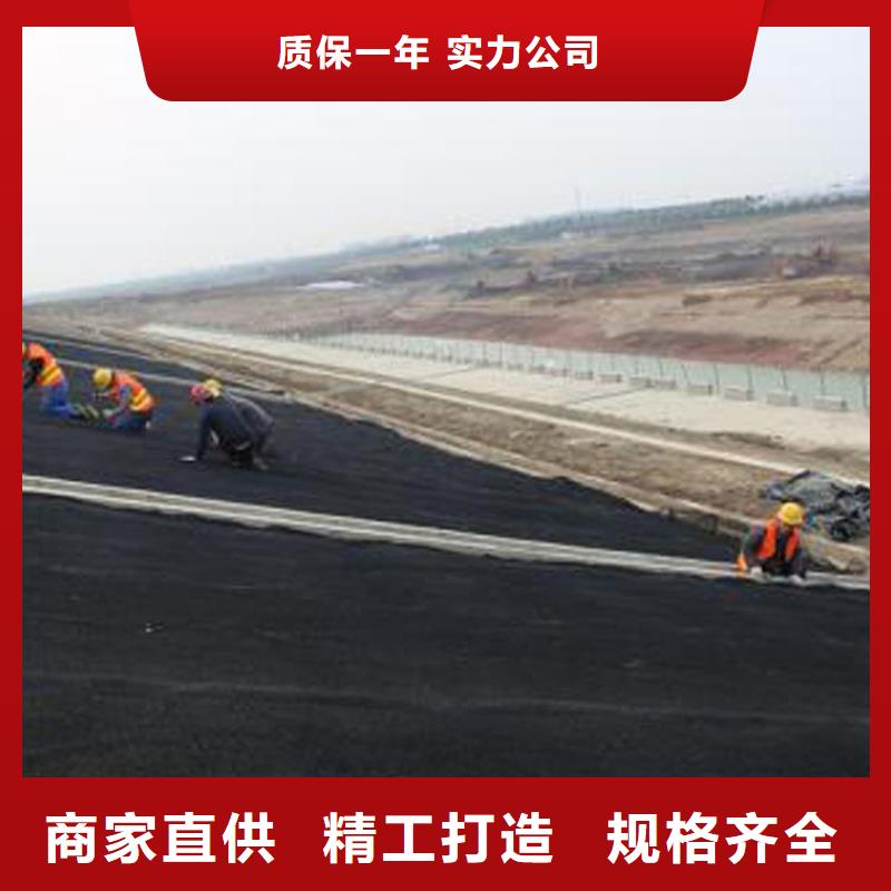 水土保护毯土工膜产地直供