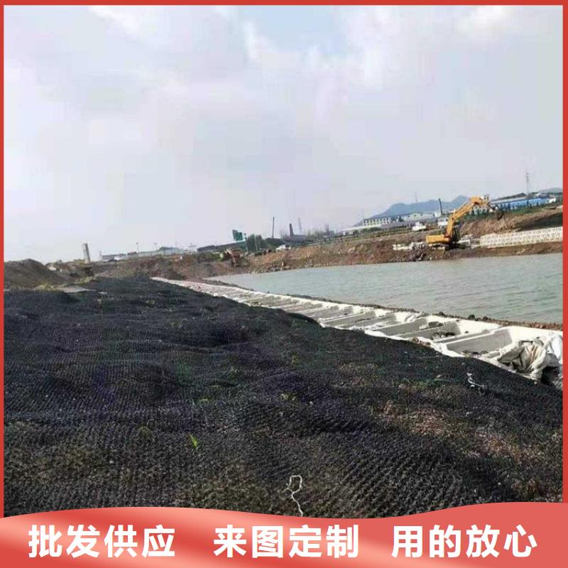 水土保护毯土工膜产地直供