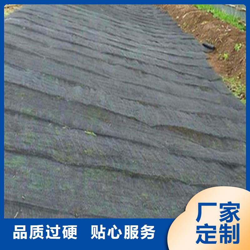 水土保護毯,復合土工膜支持定制批發
