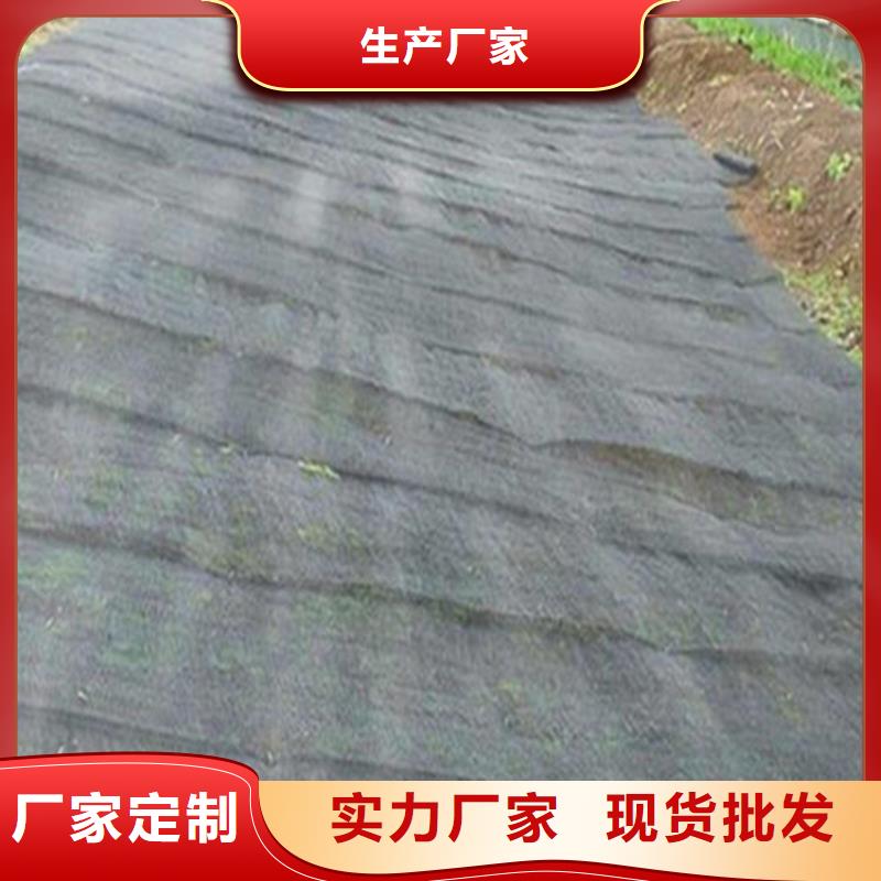 【水土保護毯】,聚丙烯長絲土工布源頭廠家量大價優